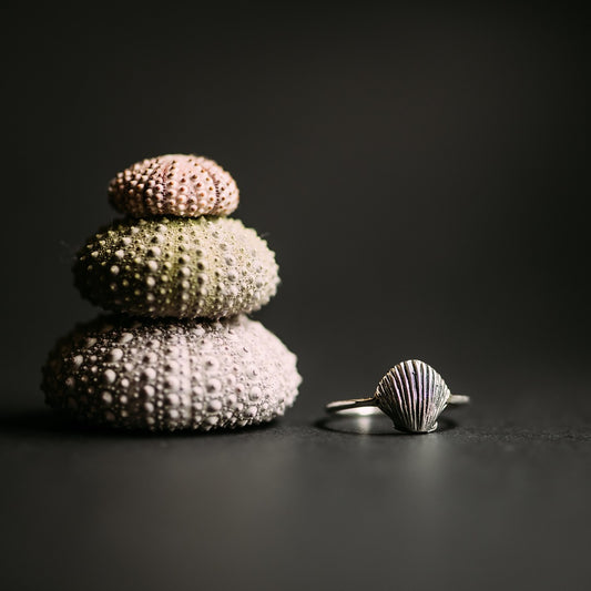 Clam Shell Ring