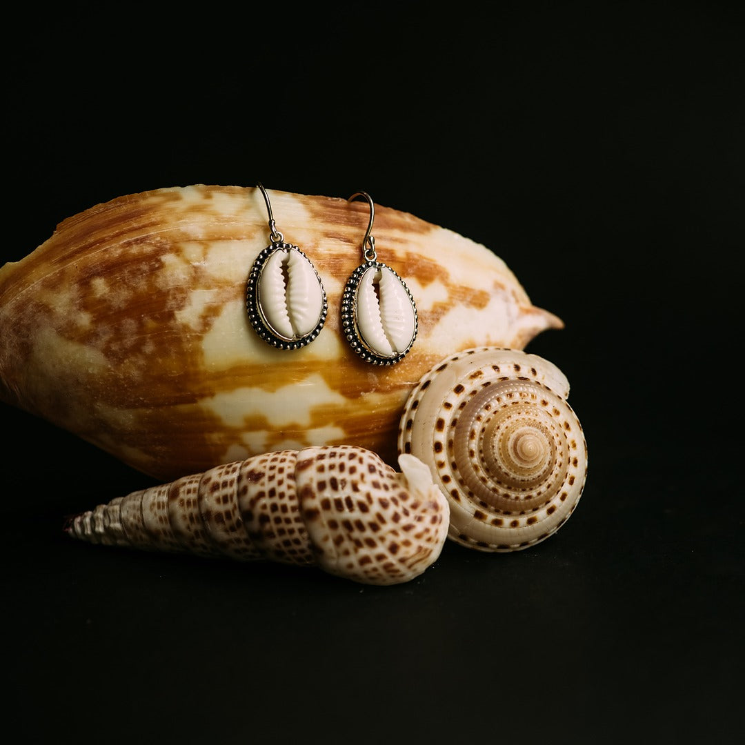 Cowrie Earrings
