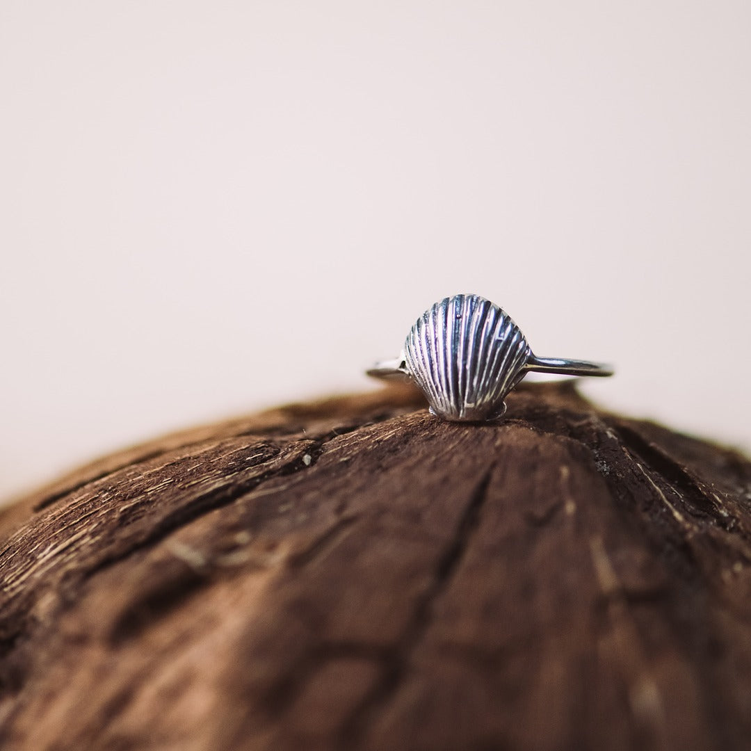 Clam Shell Ring