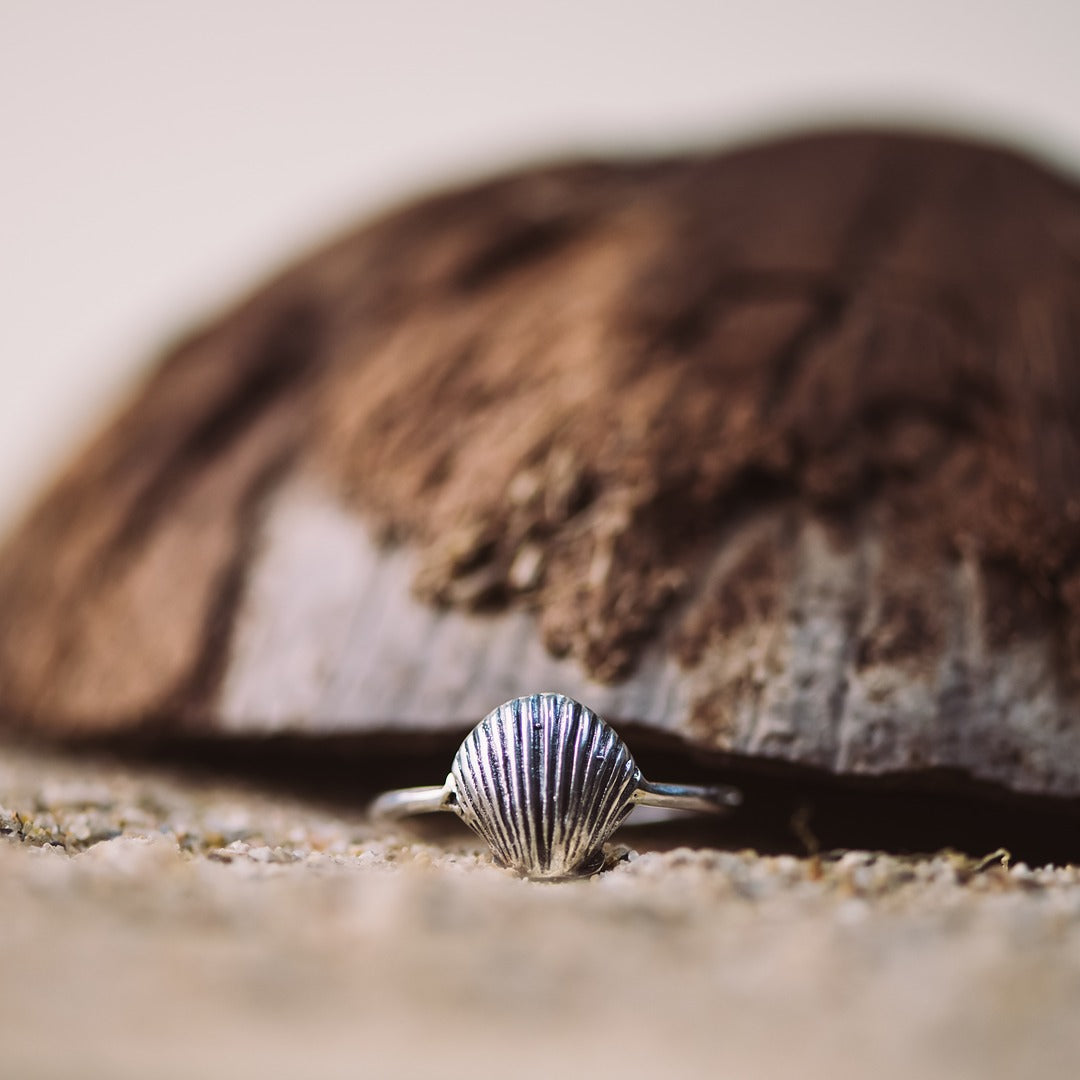 Clam Shell Ring
