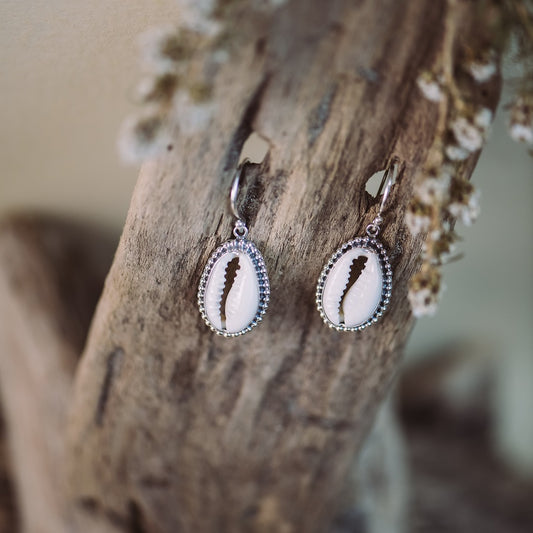 Cowrie Earrings